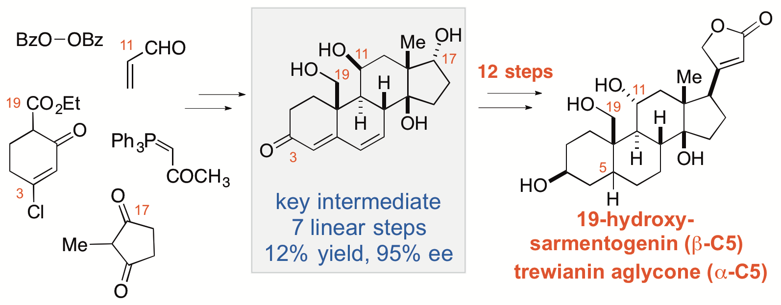 steroid synthesis2
